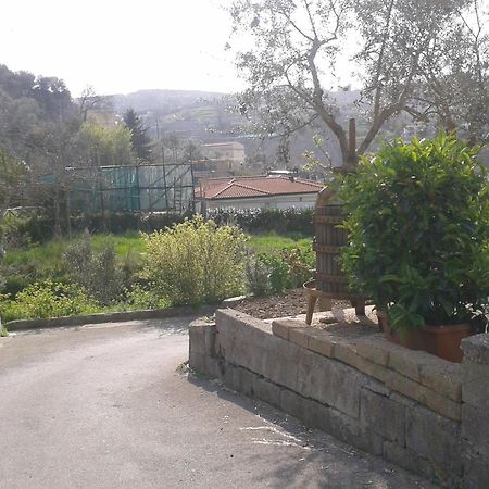 Il Cottage B&B Massa Lubrense Kültér fotó
