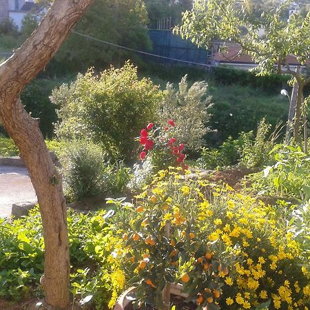 Il Cottage B&B Massa Lubrense Kültér fotó