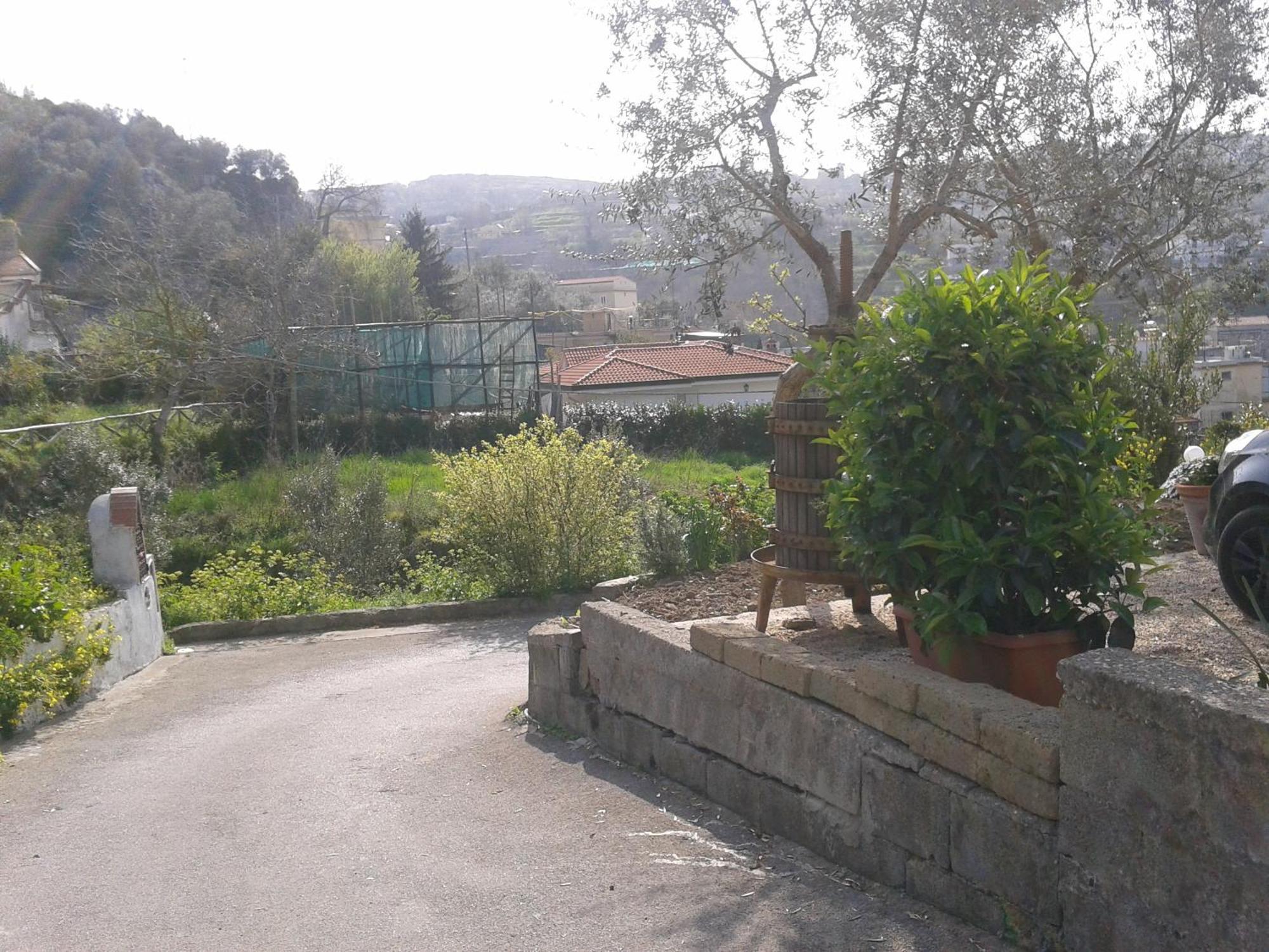Il Cottage B&B Massa Lubrense Kültér fotó
