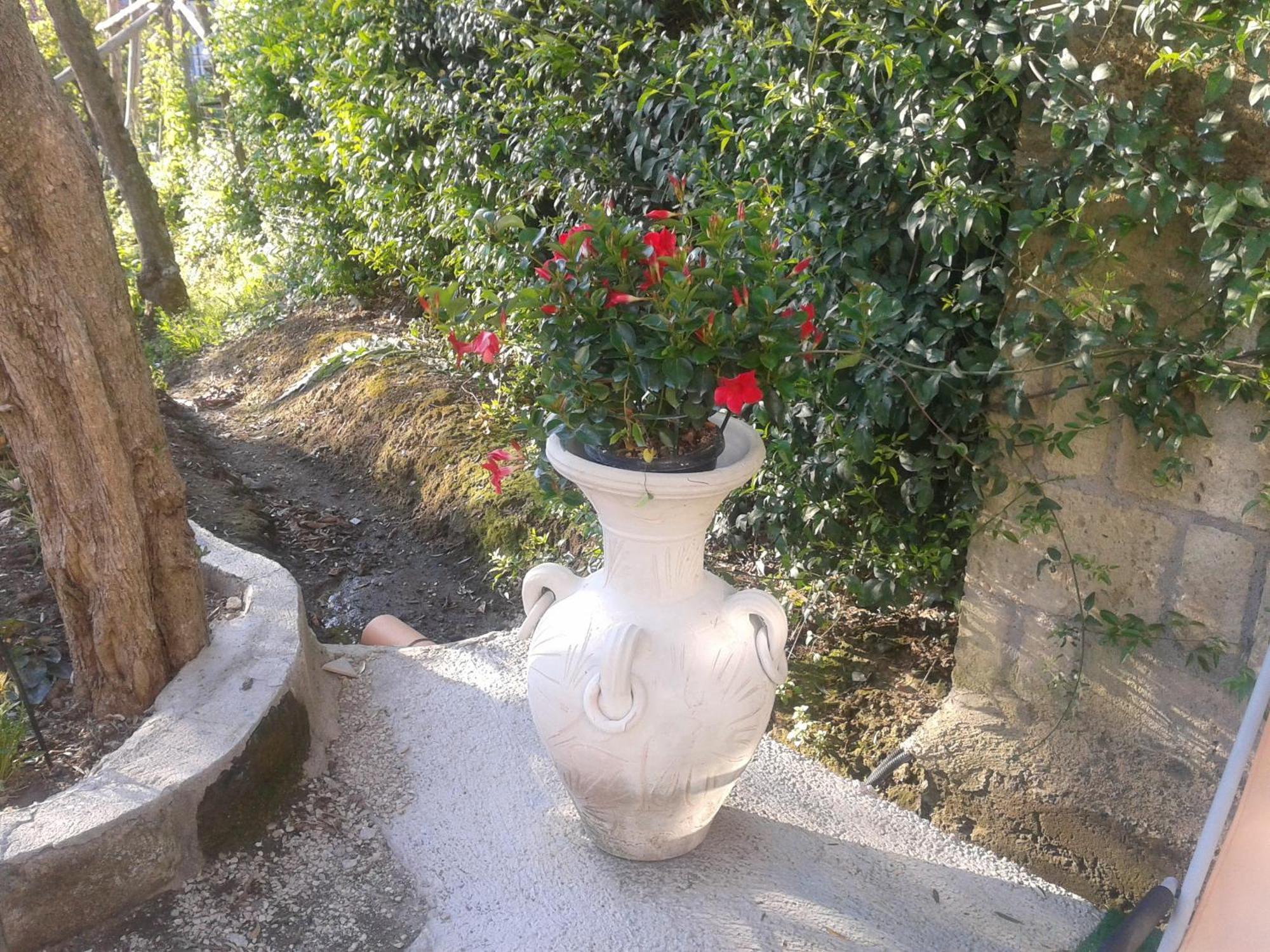 Il Cottage B&B Massa Lubrense Kültér fotó